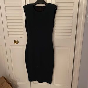 Zara fitted dress